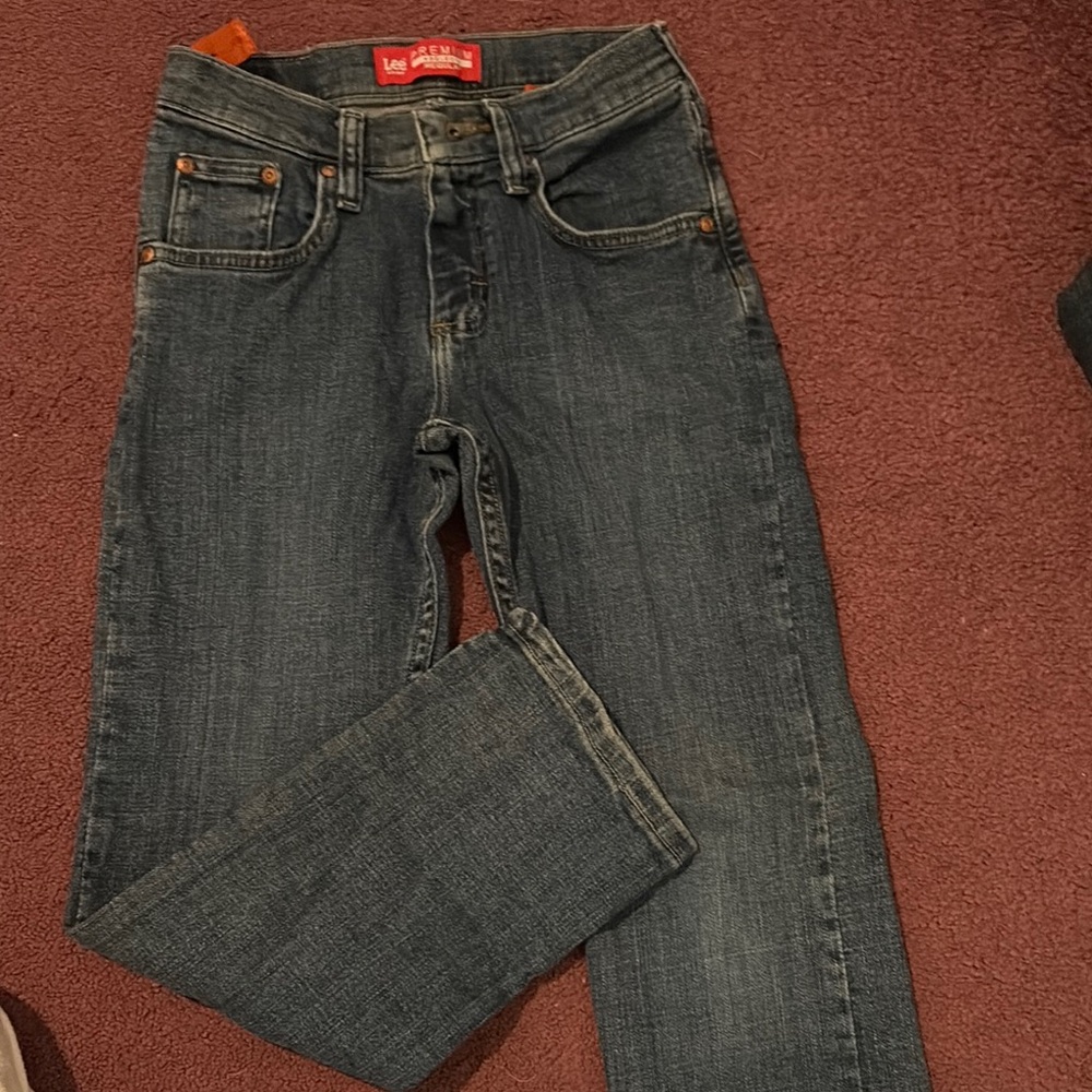 Lee Blue Straight-Leg Jeans Classic Denim